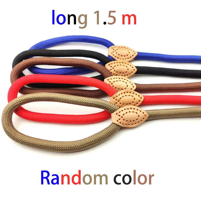YTYINCN Adjustable Dog Harness And Leash Nylon Pet Lead
