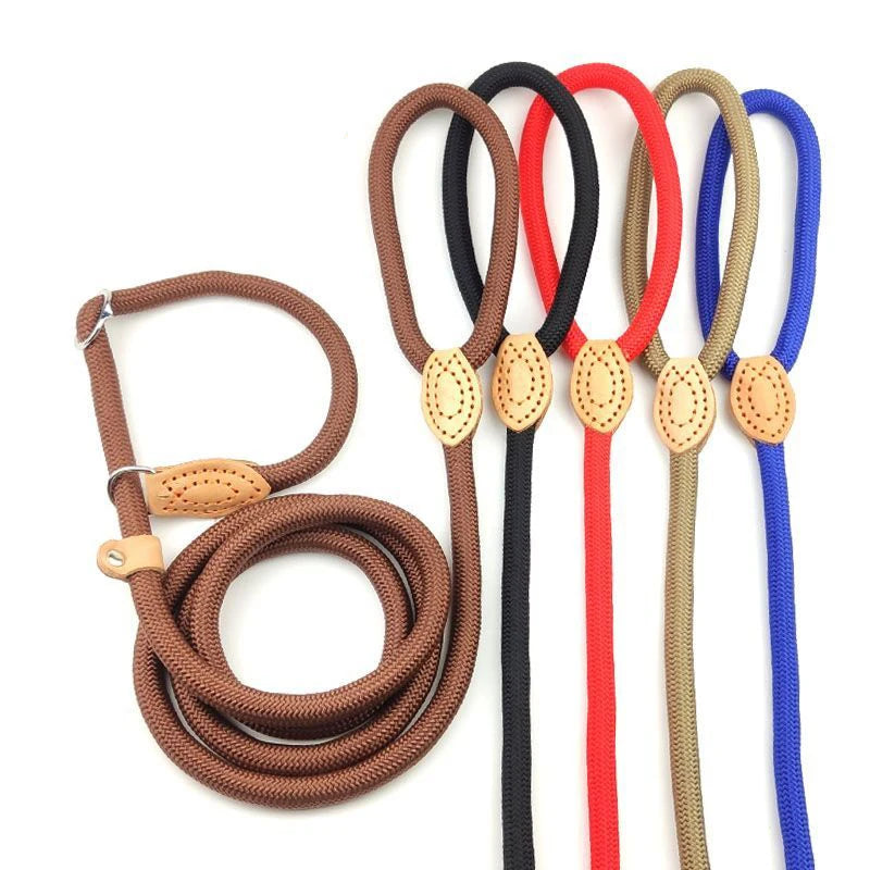 YTYINCN Adjustable Dog Harness And Leash Nylon Pet Lead
