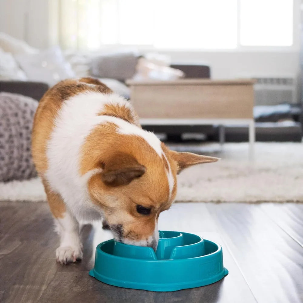Outward Hound Medium Slow Feeder Bowl, Puzzle Maze for Fast Eaters, Small to Medium Dogs, Helps Prevent Bloat & Aid Digestion
