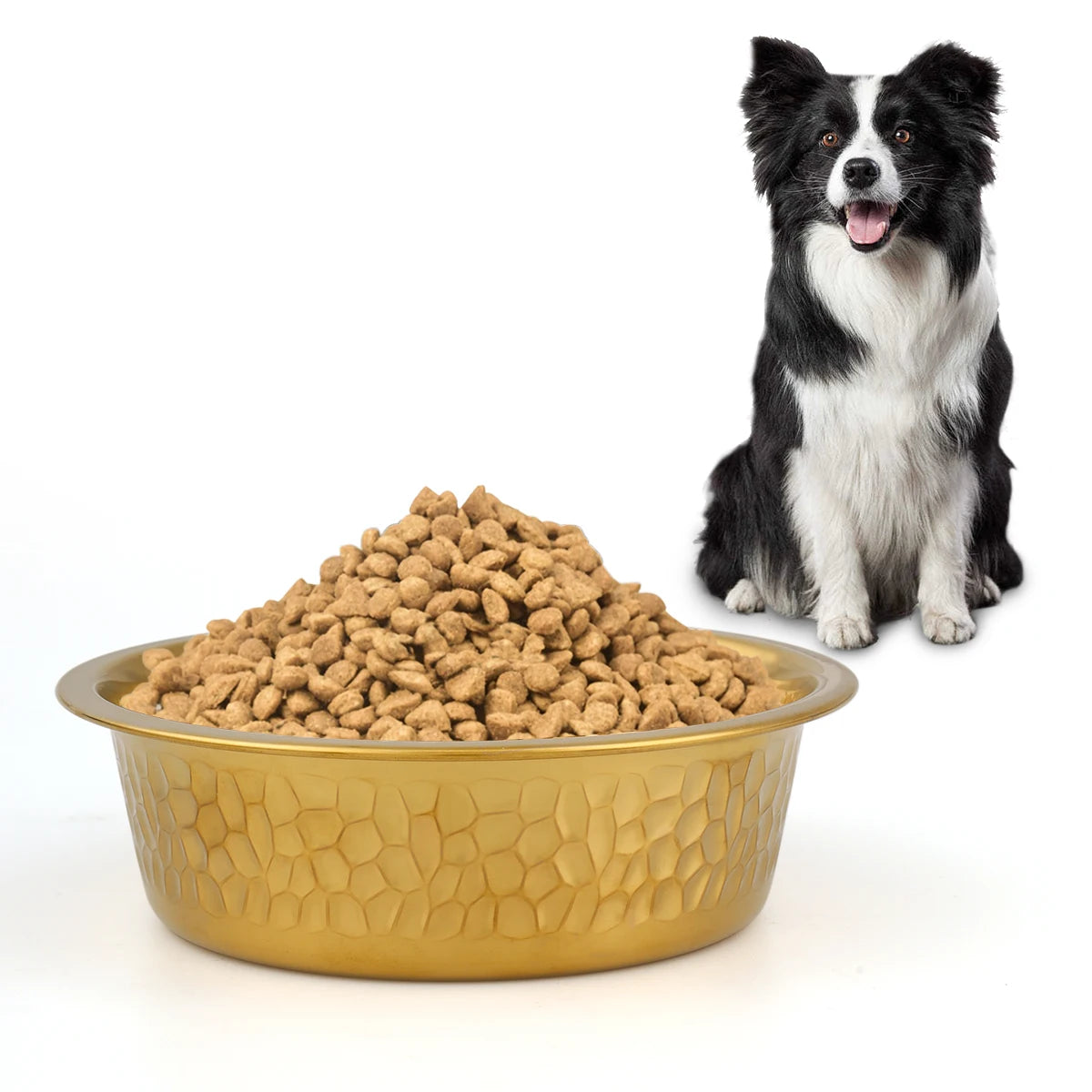 Gold-plated S/M/L/XL pet large-capacity feeding bowl - Thick and durable cat bowl or dog bowl for pets. Pet bowl