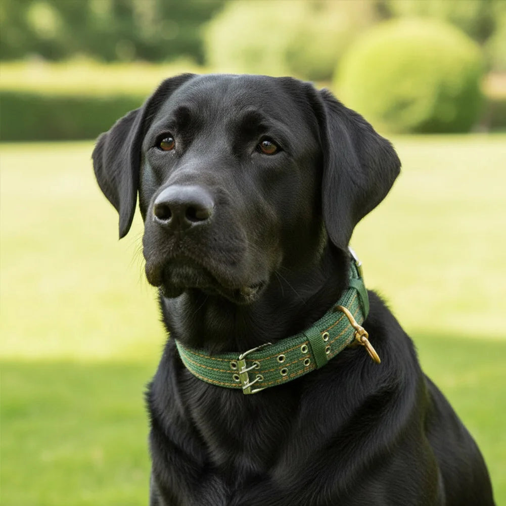 Army Green Dog Double-Breasted Necklace Adjustable Strong Dog Collar Metal Buckle Double Row Thickening for Siberian Husky