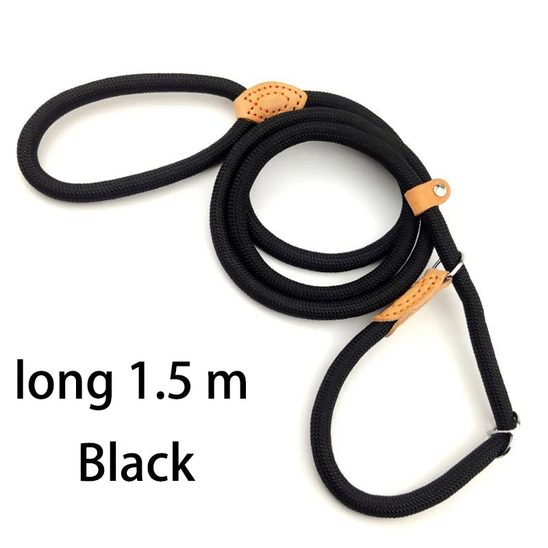 YTYINCN Adjustable Dog Harness And Leash Nylon Pet Lead