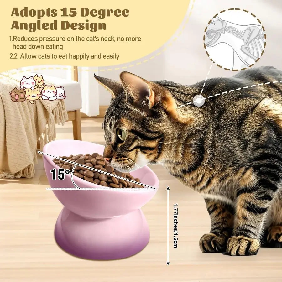 Ceramic Raised Cat Bowl Elevated Cat Bowls Tilted Cats Food Dishes Pet Bowl Stand Feeder Cute Cats Bowl for Kittens Puppies Smal