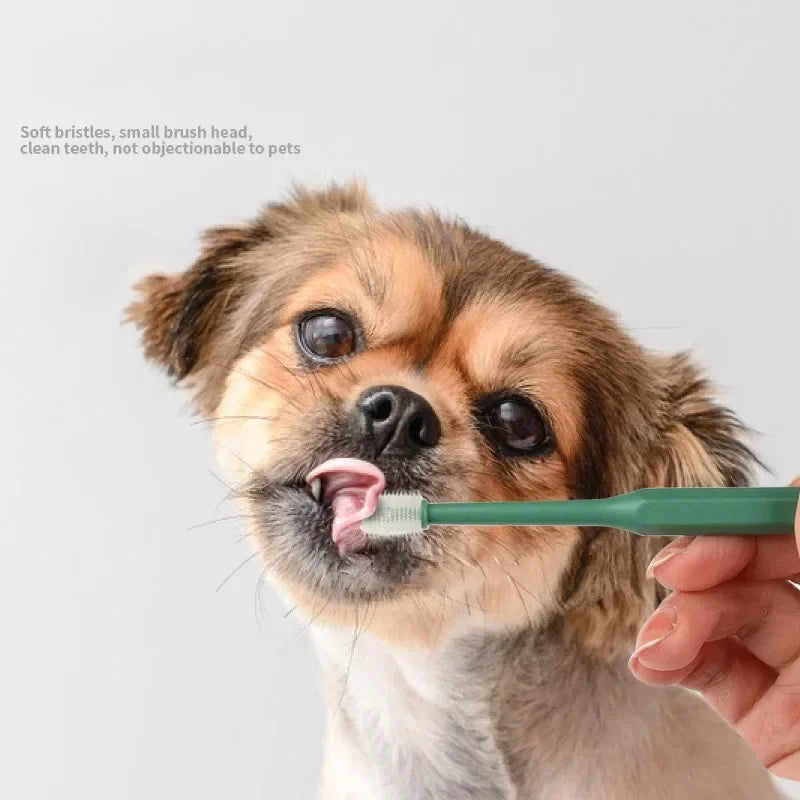 YTYIN 360 Degree Toothbrush For Dogs And Cats Tartar Care
