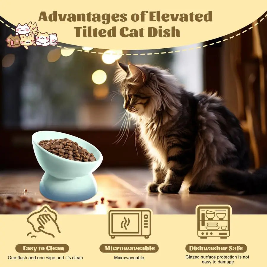 Ceramic Raised Cat Bowl Elevated Cat Bowls Tilted Cats Food Dishes Pet Bowl Stand Feeder Cute Cats Bowl for Kittens Puppies Smal