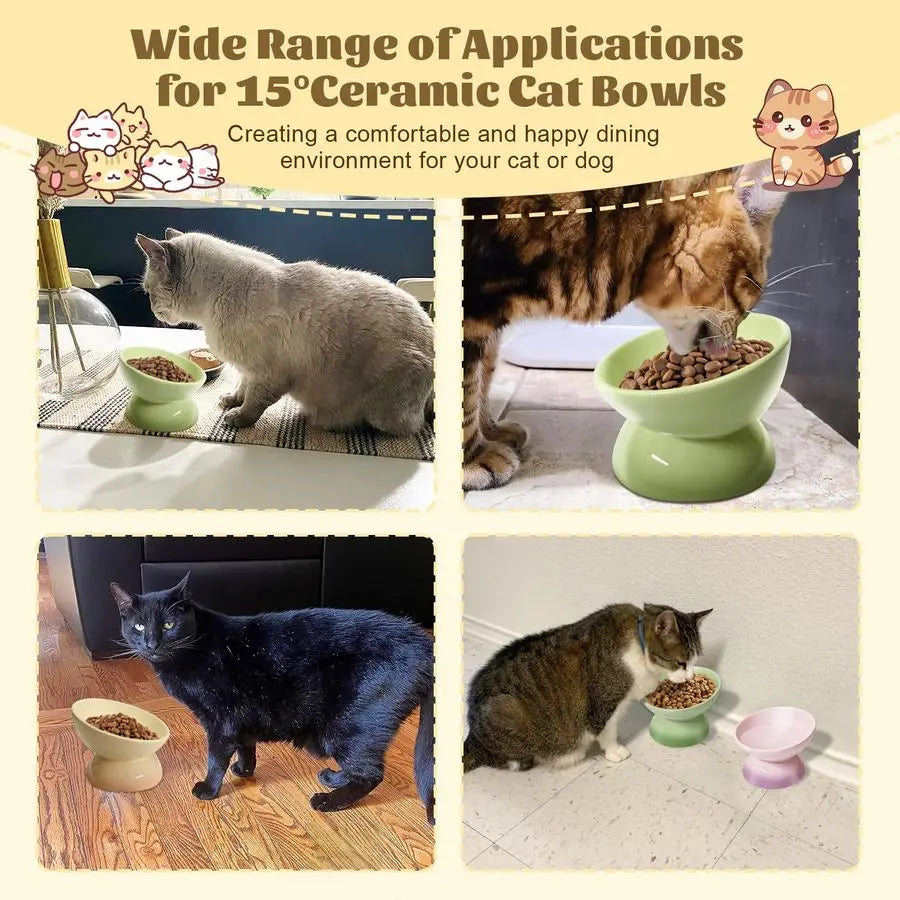 Ceramic Raised Cat Bowl Elevated Cat Bowls Tilted Cats Food Dishes Pet Bowl Stand Feeder Cute Cats Bowl for Kittens Puppies Smal