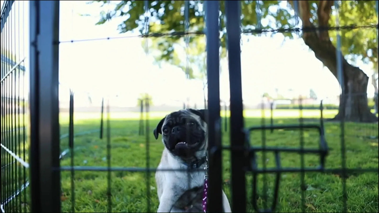 16 Panel 24 Inch Dog Fence Foldable Removable Pet Enclosure for Yard RV Camping Outdoor Use Portable Dog Playpen with Gate for